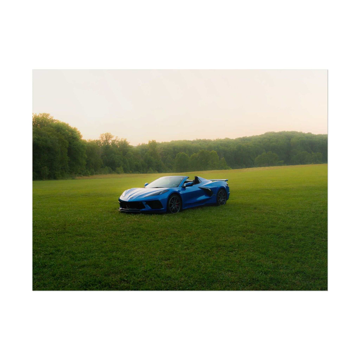 Blue C8 Corvette Stingray convertible parked on green grassy meadow under soft hazy sky with trees in background