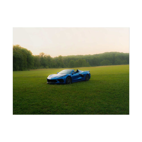 Blue C8 Corvette Stingray convertible parked on green grassy meadow under soft hazy sky with trees in background