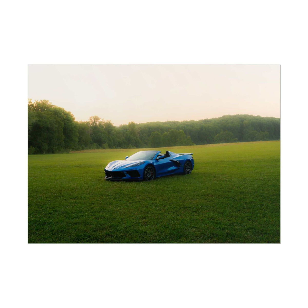 C8 Corvette Stingray blue convertible sports car parked on green grassy field with trees and hazy sky in background