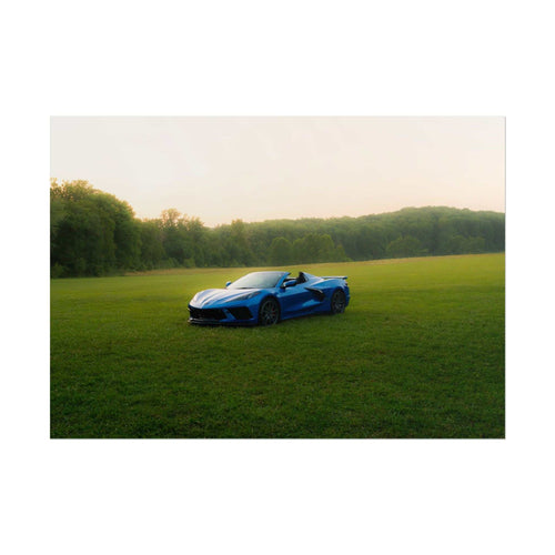 C8 Corvette Stingray blue convertible sports car parked on green grassy field with trees and hazy sky in background